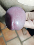Tỉa lông và cái kết