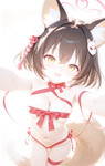 Top những cái lồn loli siêu ngon