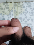 Con cu nhỏ