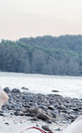 foreshore