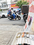 Duingonxinh