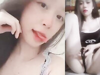Thập cẩm gái múp xinh