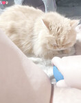 Sếch