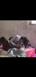 Full EM HỌ DƯỚI MÔ TẢ