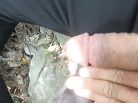 Cu bị ong đốt sưng to