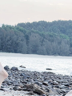 foreshore