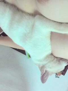 hi êhhdh