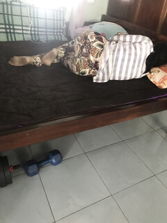 Cô út đang ngủ